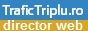 TRAFIC TRIPUL - Directo Web
